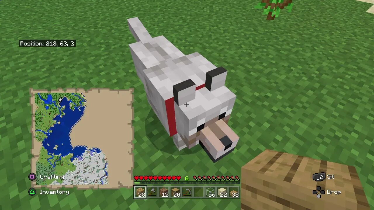 Minecraft Part 4-We Have A Dog