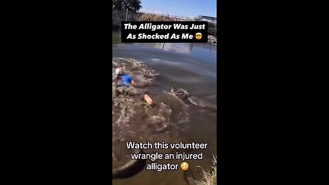 The Alligator was like what in the 😂😂