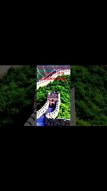 curiosities from the world #shorts