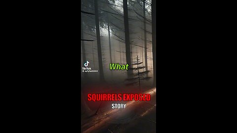 Freaky Squirrels