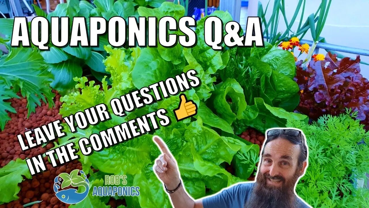 Aquaponics Q&A Live Stream | September 2022