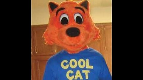 cool cat does cool things