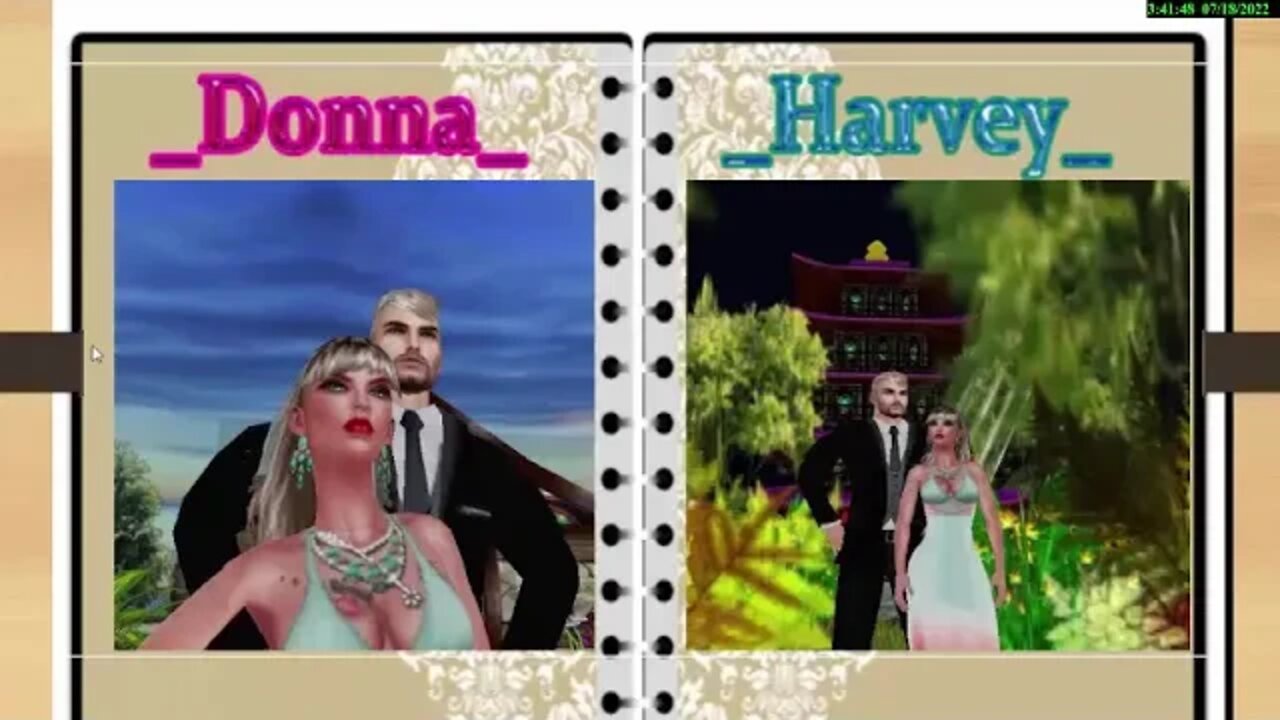 livro Harvey Donna