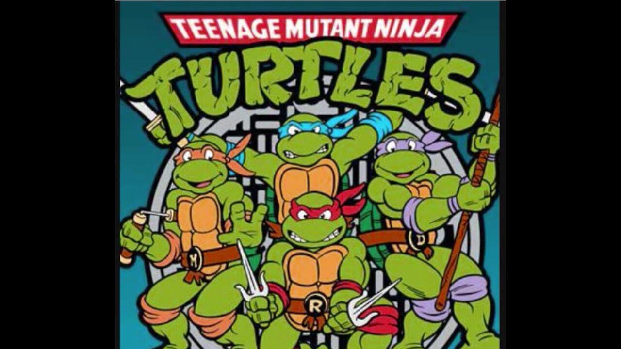 Teenage Mutant Ninja Turtles: Turtles Fight With Honor