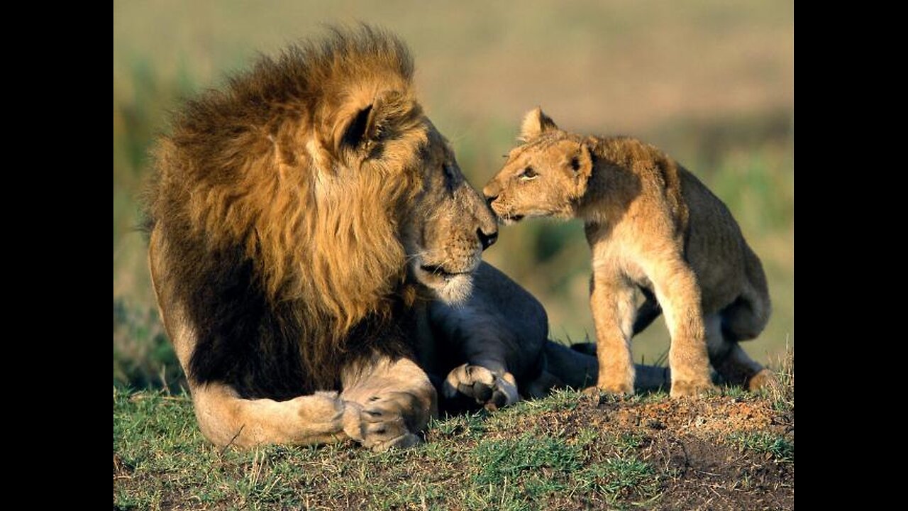 Szkic współpracy z Bogiem w swoim zbawieniu cz.1