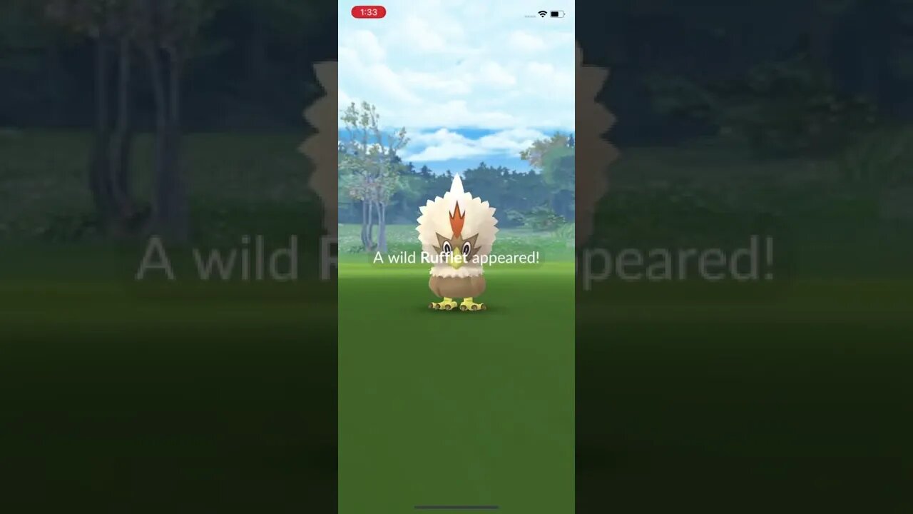 Shiny Rufflet