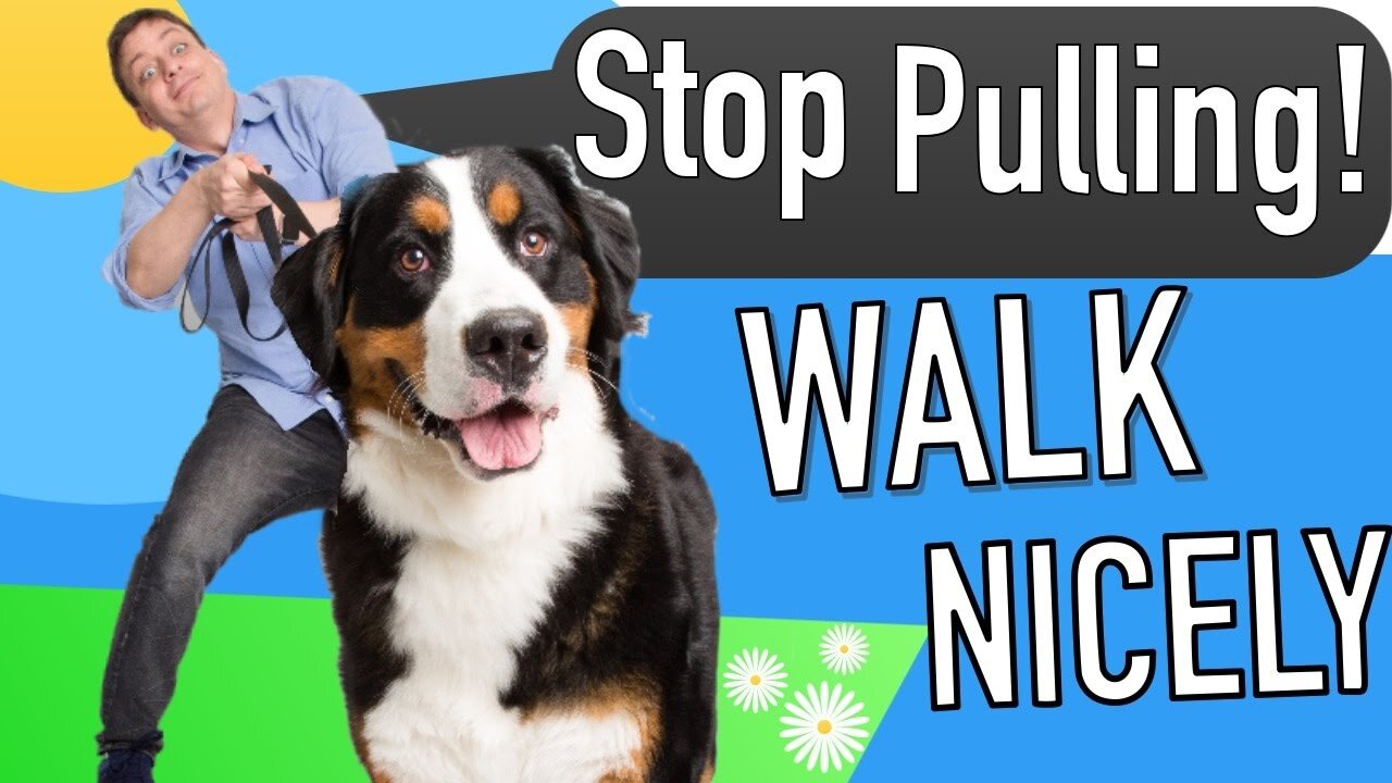 Teach your DOGS how to WALK in 5 MINUTES (very easy)