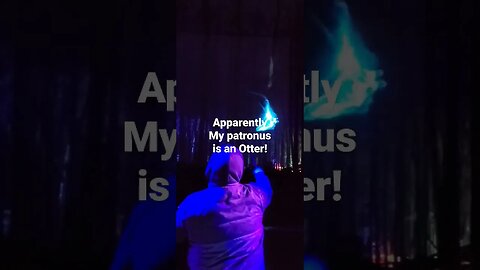 Finding Your Patronus @HPForbiddenForestExperience