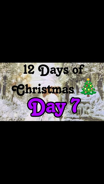 Butterfly Insightful Daily Tarot - 12 days of Christmas - day 7