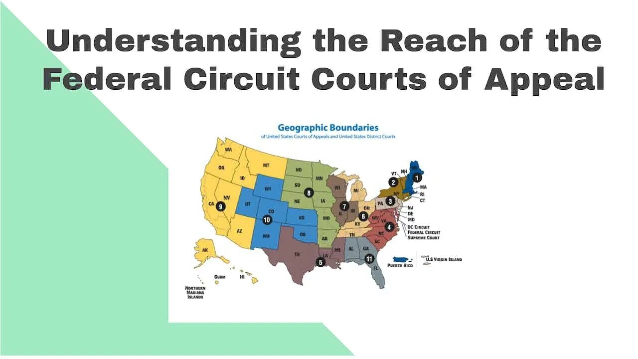 Understanding the Reach of the Federal Circuit Courts of Appeal