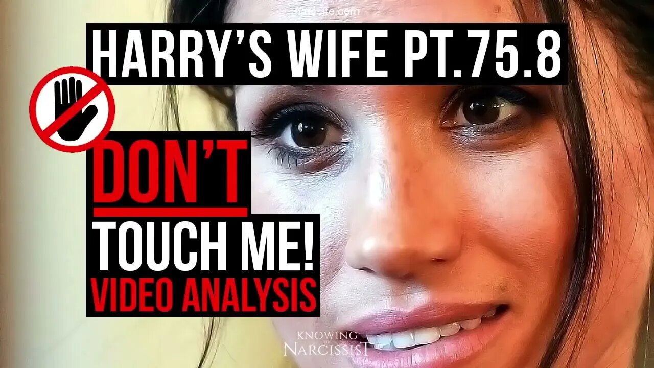 Harry´s Wife Part 75.8 : Don't Touch Me - Video Analysis