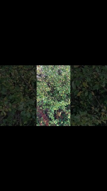 James Corden is another left wing person who turns out may not be as nice as they pretend to be.