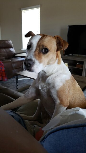 #youtube #viral #trending #how #youtuber #youtubevideo#love #edit #editing #edits #love #baby @yvr1