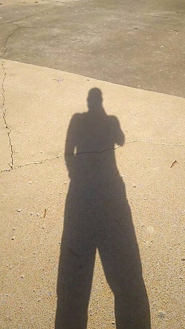 Pressure Washed the Driveway