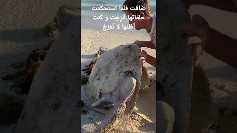 ضاقت و لما أستحكمت حلقاتها