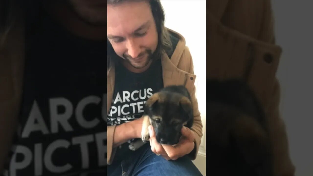 Meeting little puppy Zara for the first time