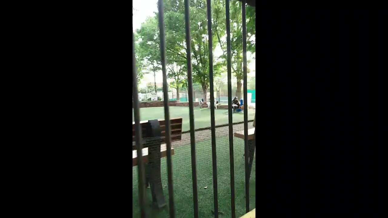 Monday Morning Commute 🔔