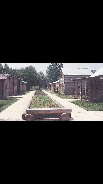 Making Sure The Park is Safe #shorts