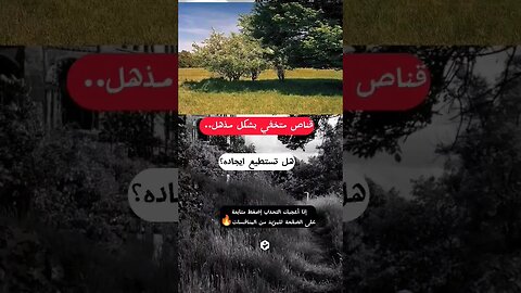 قناص متخفي بشکل مذهل.. هل تستطيع ايجاده؟