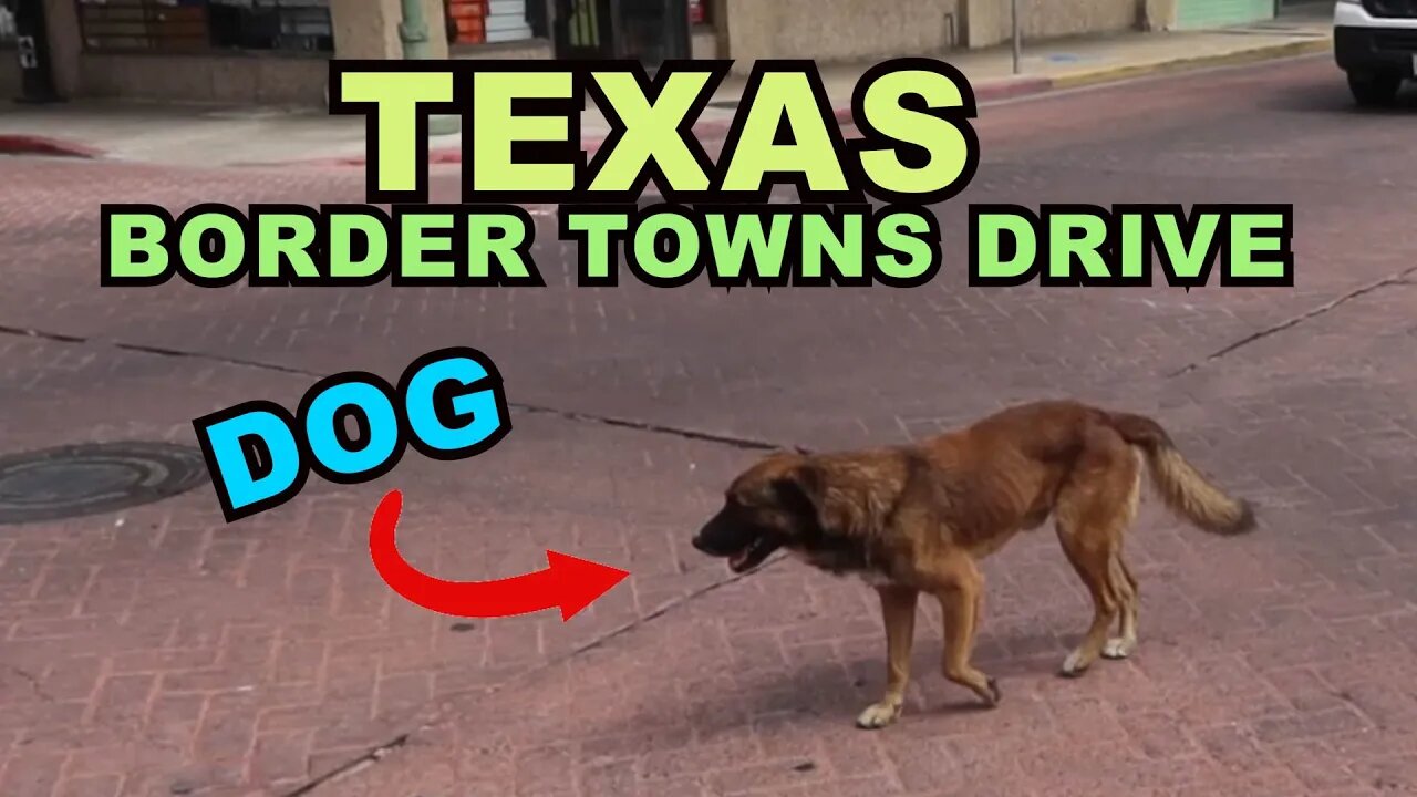 TEXAS Border Towns: A HUNGRY DOG Roams Boarded Up Downtown Laredo / San Ygnacio to Laredo (Part Two)