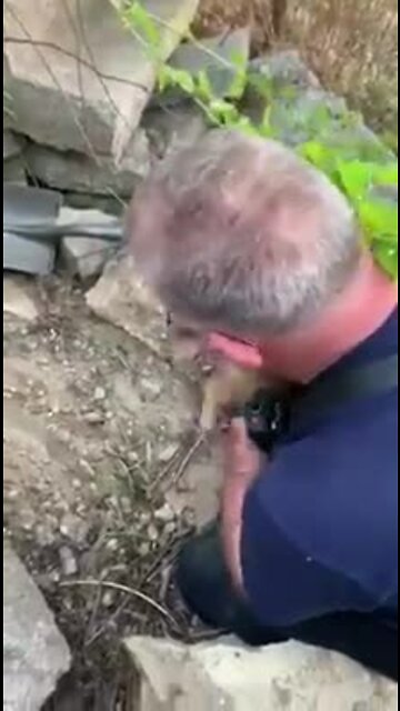 North Charleston Fire Department Rescues Puppy From Pile Of Rocks