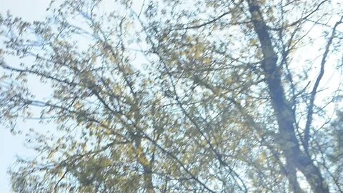 VERSACii M@D3 iT is going live!