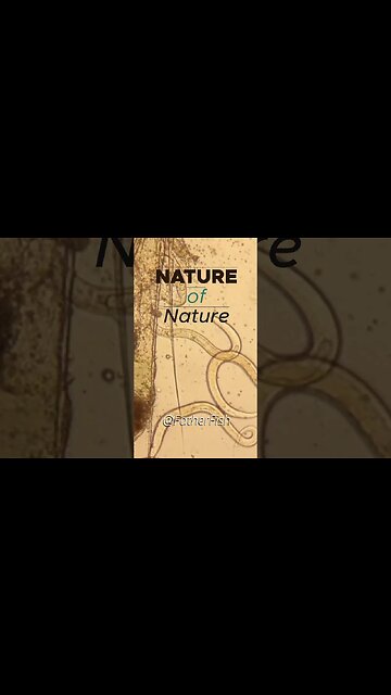 Kill Parasites in Aquarium with Nature - Biodiversity is the Key!