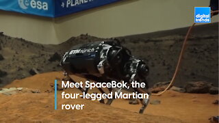 SpaceBok wants to go to Mars