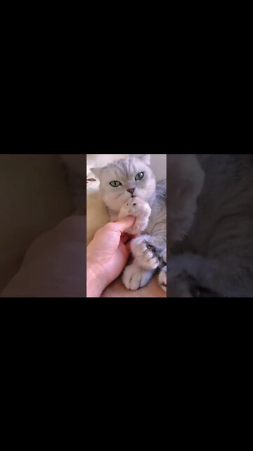 Том и Джери)))#shorts 😂😂😂