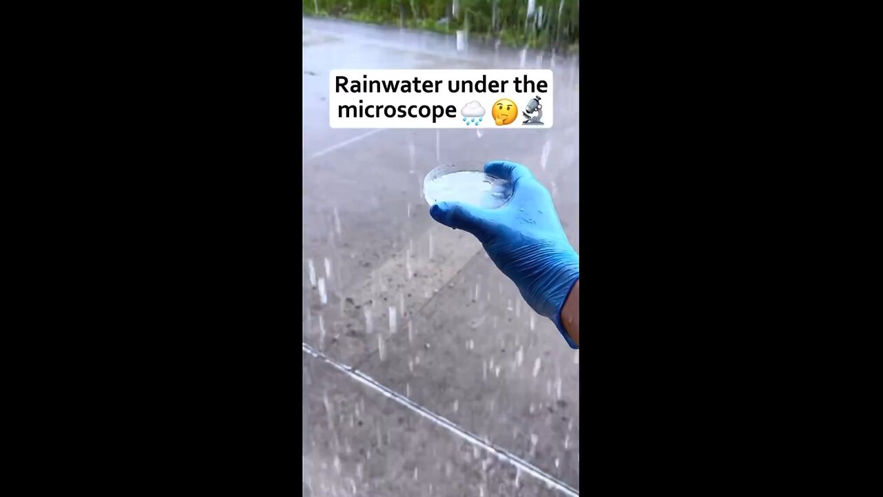 Strange Findings in Rainwater Under the Microscope!