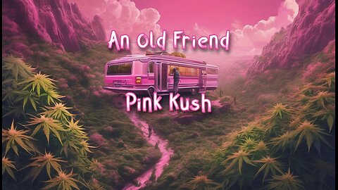 Pink Kush - Revisiting an old friend - From Pure Sunfarms