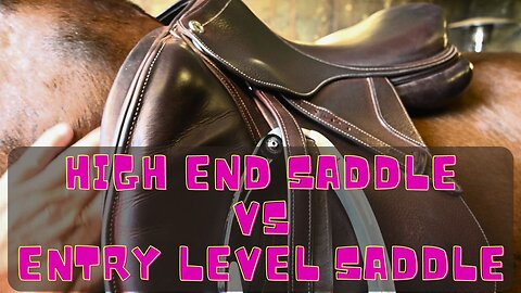 Our Long Awaited Saddle Fit Appointment!