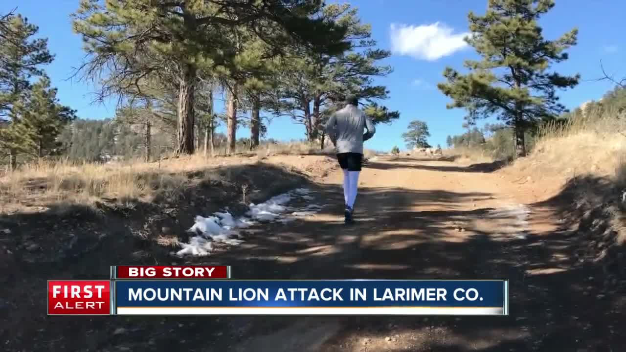 Horsetooth Mountain trail runner suffocates, kills mountain lion in self defense