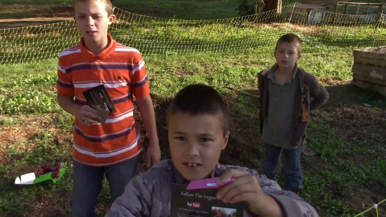 March Seed Bank Box & Goat shenanigans
