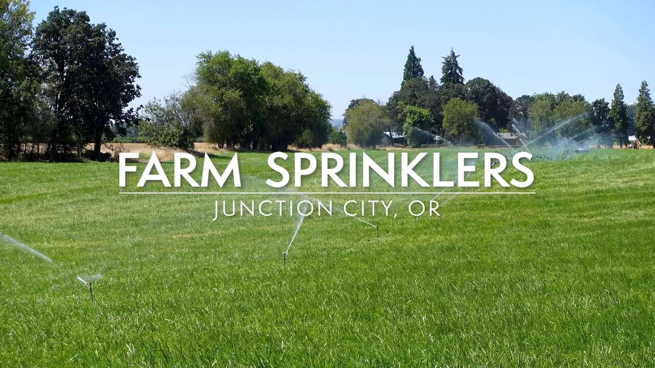 4K Relaxing Water Sprinklers Irrigating Lush Green Farmland