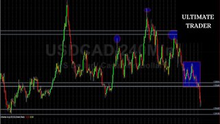 Forex Trading Technical Analysis - Forex Signals
