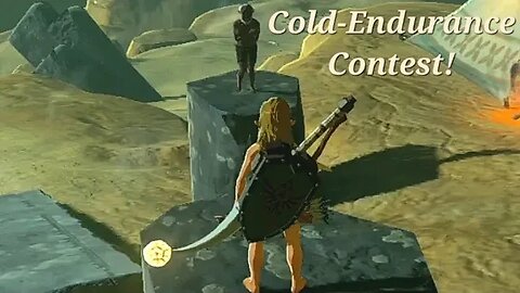 Cold-Endurance Contest! - The Legend of Zelda: Tears of the Kingdom