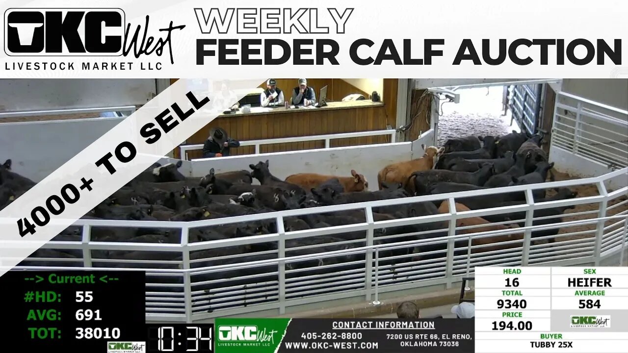 3/22/2023 - OKC West Feeder Calf Auction