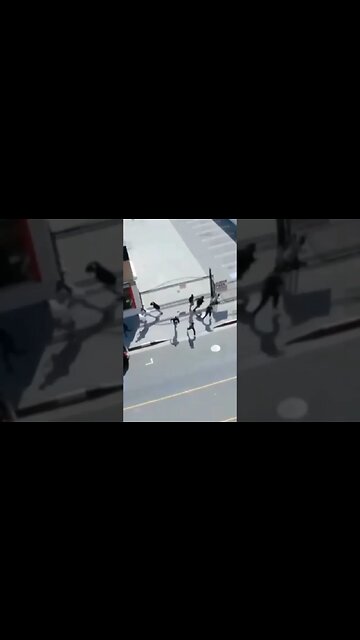 Game Time Warzone #fypシ #new #beats #shortshorts