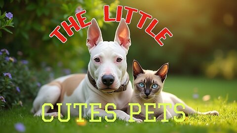 The Little Cutes Pets