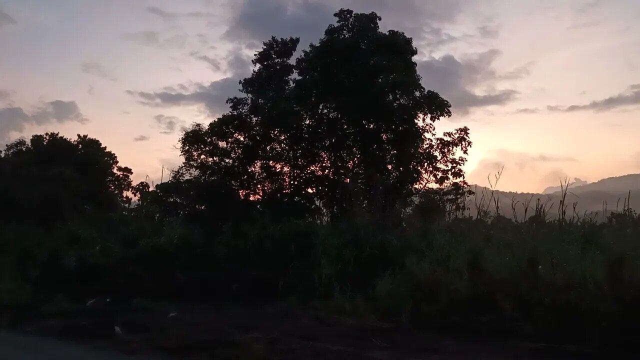Feeling the sunrise moment with the sounds of birds