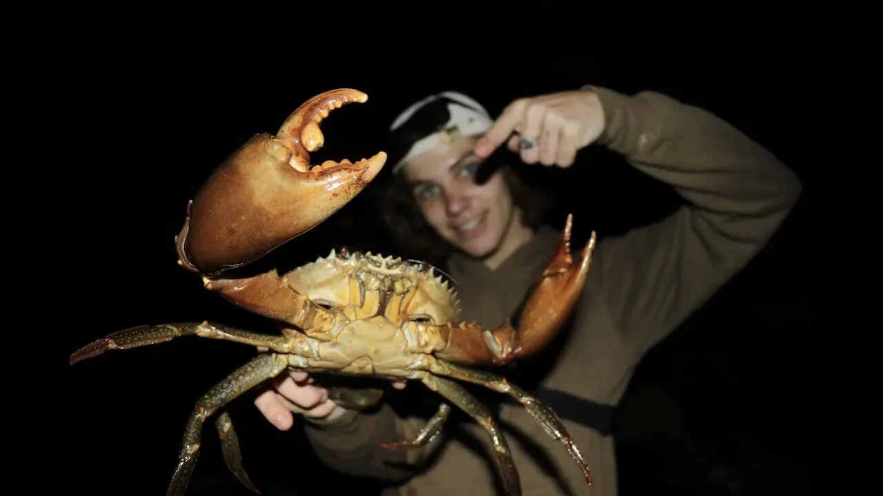 HUGE MUDCRAB Catch And Cook Caught BAREHANDED! (ASUS ZenBook)