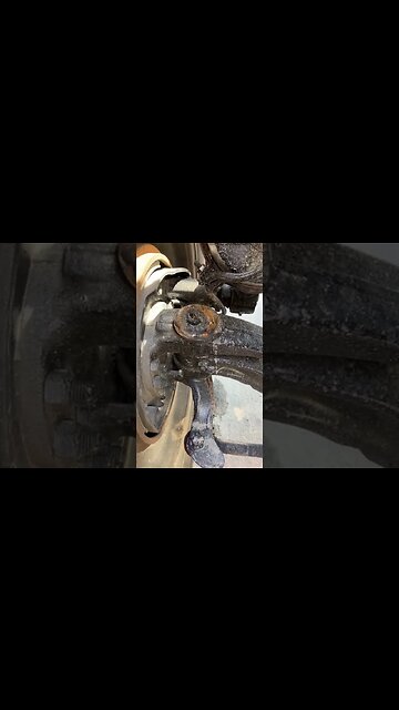 Kingpin red flag 🚩 #shorts #short #youtube #kingpin #semi