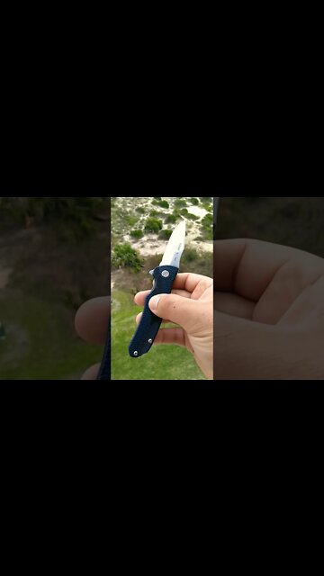 Buck 840 Sprint pocket knife 1 year review