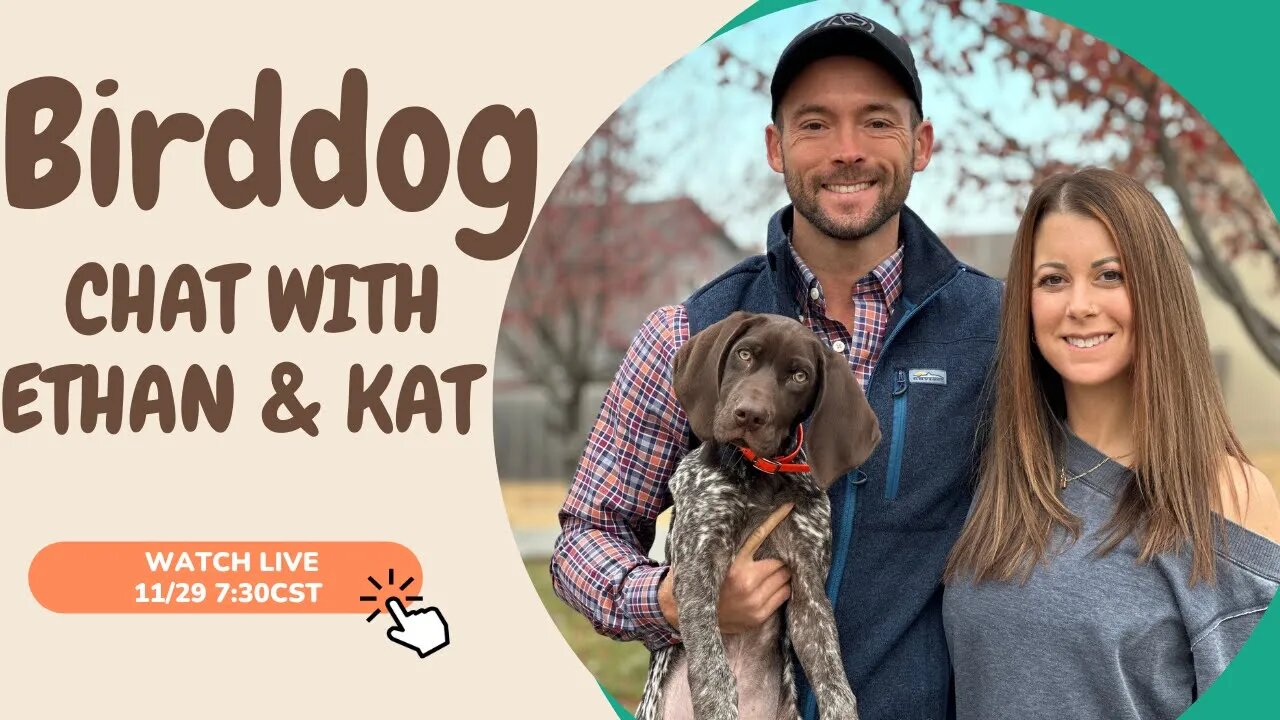 Holiday Safety And Etiquette For Your Dogs - Bird Dog Chat With Ethan And Kat