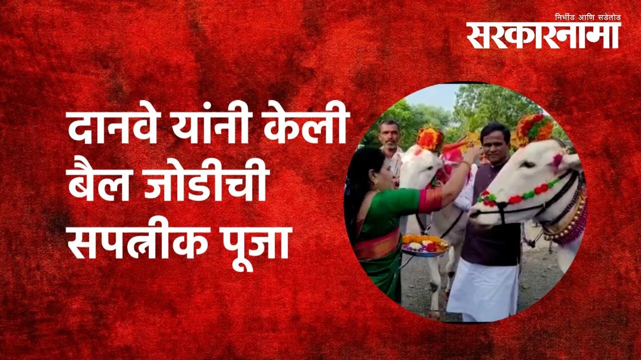 दानवे यांनी केली बैल जोडीची सपत्नीक पूजा | Bailpola-festival-2021| Maharashtra | Sarkarnama
