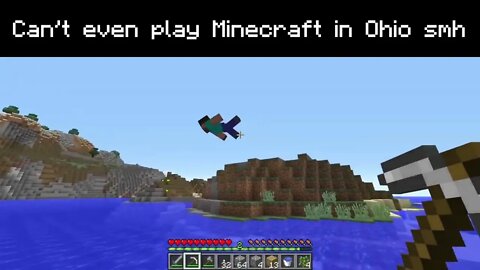 Minecraft in Ohio be like 💀