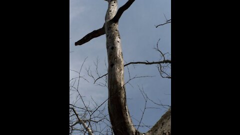 (77) God's Promises for You!