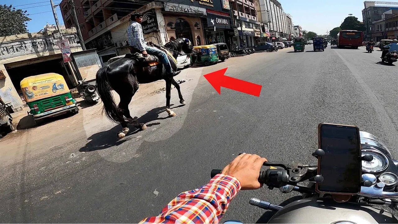 😱 Itna lamba ghoda mne kbhi nhi dekha !! | jaswantboo