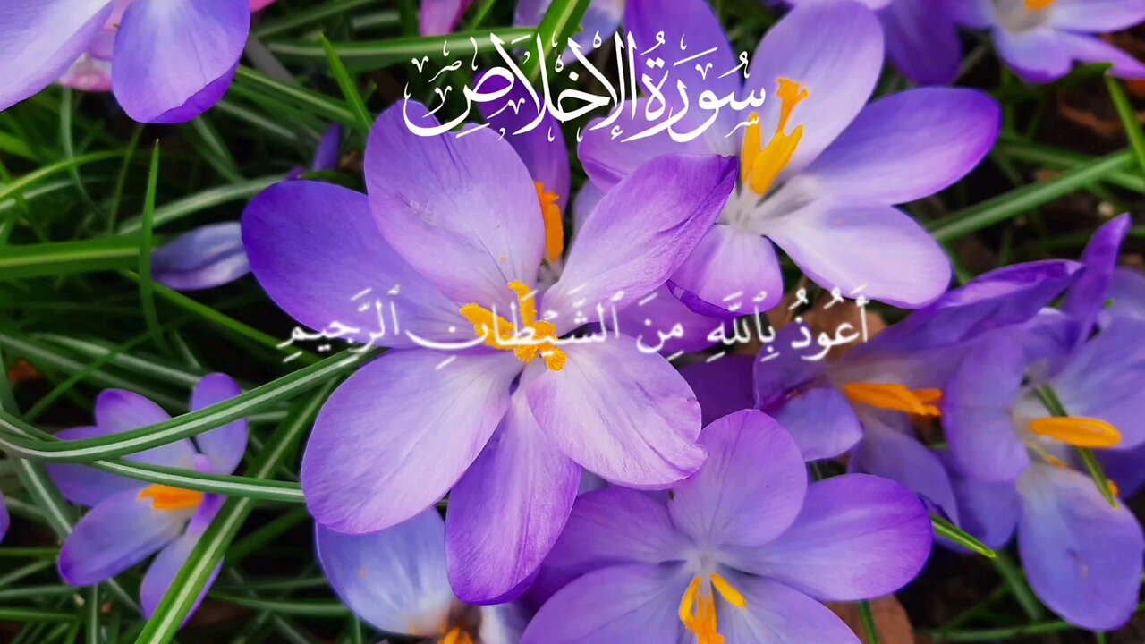 surah ul ikhlaas